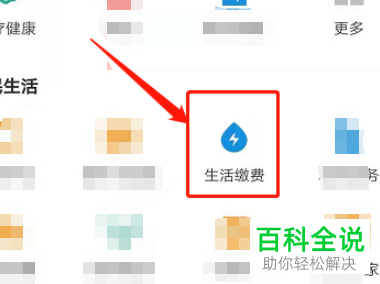怎么在支付宝上查看每日用电量