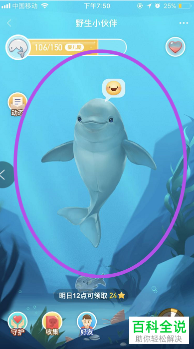 怎么在淘宝的野生小动物中查看已收集的图鉴?