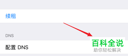 怎么在iPhone苹果手机中对网络dns进行修改