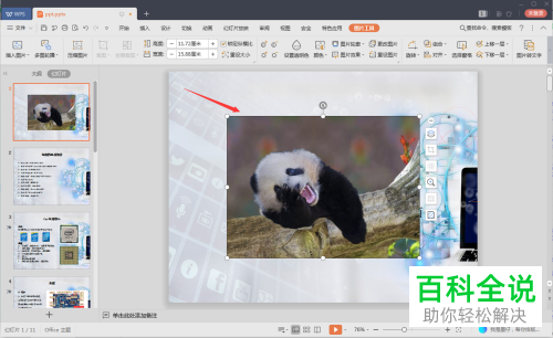 怎么在PPT文档中插入GIF动图