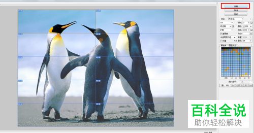 怎么在电脑版Photoshop中使用切片来划分图片