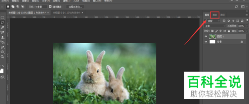 怎么在PS软件中调用存储的选区