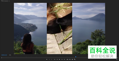 怎么在PR2019软件中实现拆分过渡视频效果