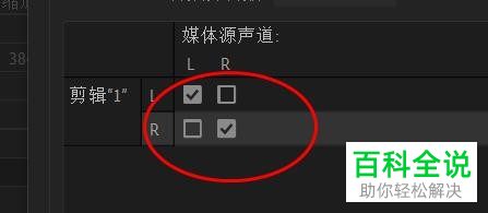 怎么在PR软件中设置媒体的源声道