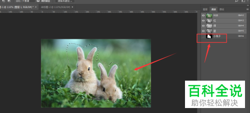 怎么在PS软件中调用存储的选区