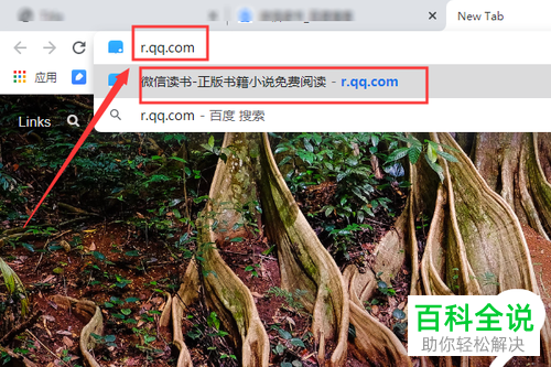 怎么在电脑上使用微信读书