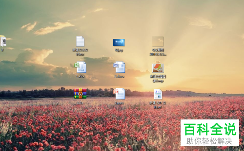 怎么在win7系统的电脑上使文件显示出扩展名？