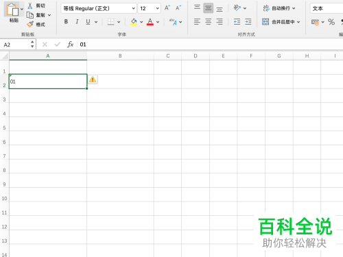 怎么在Excel中输入以0开头的数字