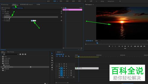 怎么在PR软件中对视频素材的灰度系数进行调整