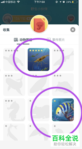 怎么在淘宝的野生小动物中查看已收集的图鉴?