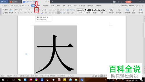 怎么在WPS中设置文字大小？