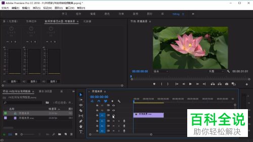 怎么在电脑版PR中添加视频的配音