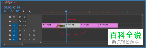 怎么在Pr给视频添加缩放效果