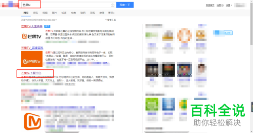 怎么在电脑上下载安装芒果TV