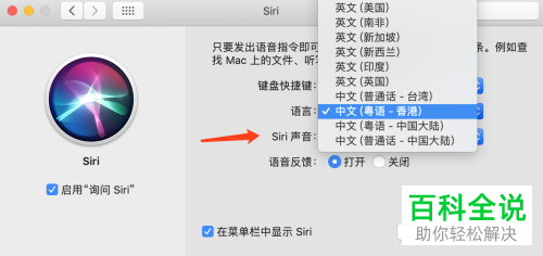 怎么在macBook苹果电脑上切换Siri语言？