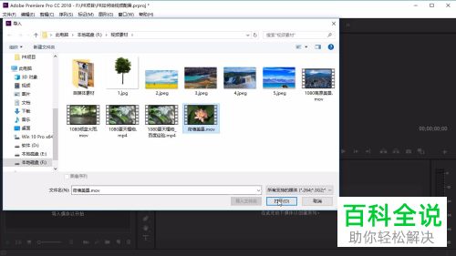 怎么在电脑版PR中添加视频的配音