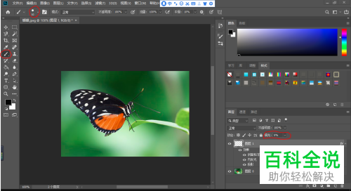 怎么在PS软件中给图片制作露水的水珠效果