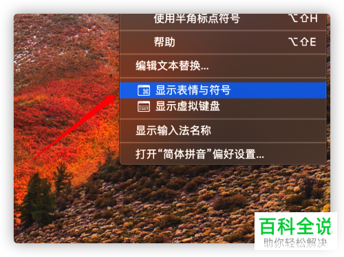 在Mac电脑上如何上打出键盘上的符号