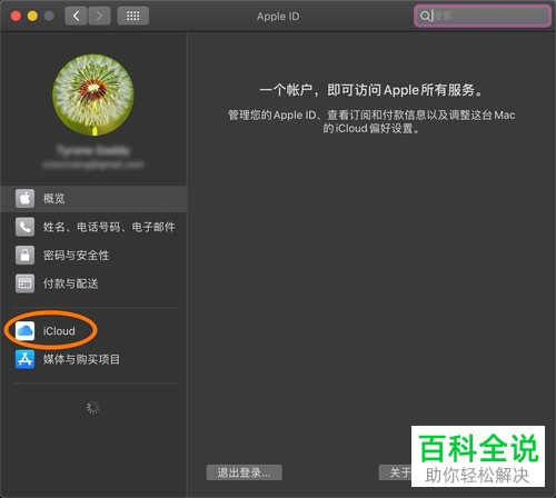 在macbook air上如何同步通讯录