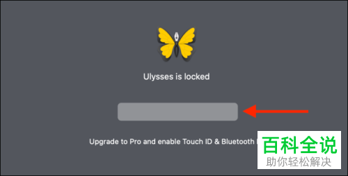 在Mac苹果电脑上怎么给某个应用程序设置开启密码