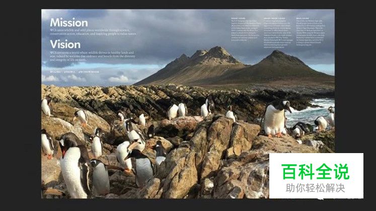 在年报设计中，如何更有效地使用图像