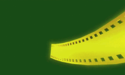 在哪个网站买电影票便宜(生麦芽在哪里能买到)