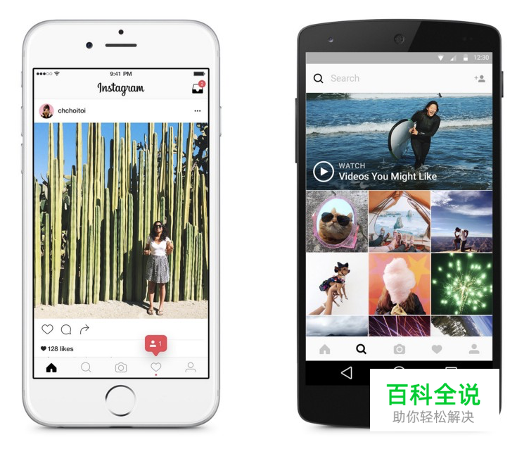 作品包装/展示中的用色