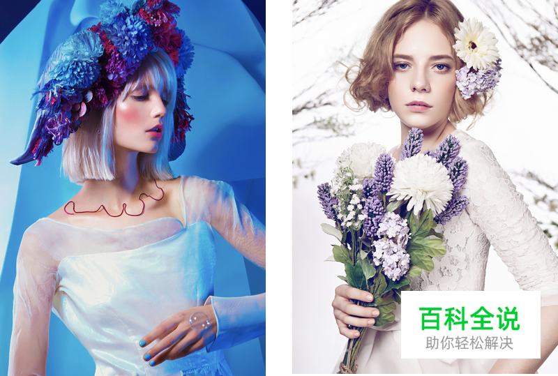 作品包装/展示中的用色