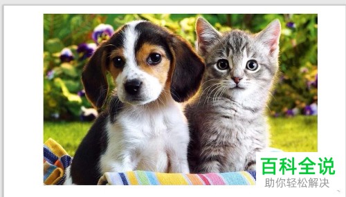 在PPT中如何将单张图片做成九宫格效果