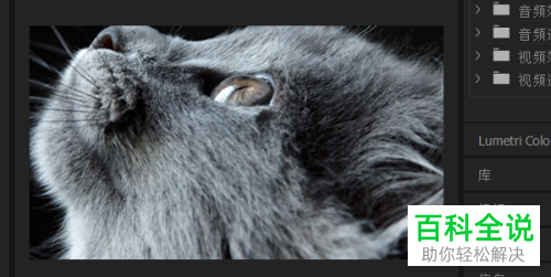 在PR软件中如何对素材的大小尺寸进行调整