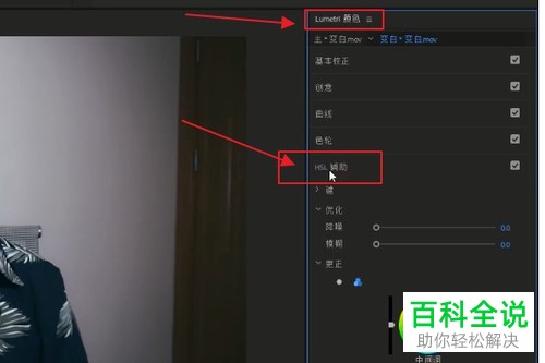 在PR软件怎么对视频中人物的皮肤进行美白操作