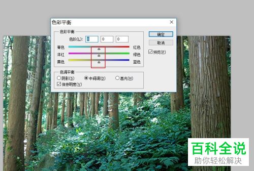 在PS软件中怎么调整图片的颜色