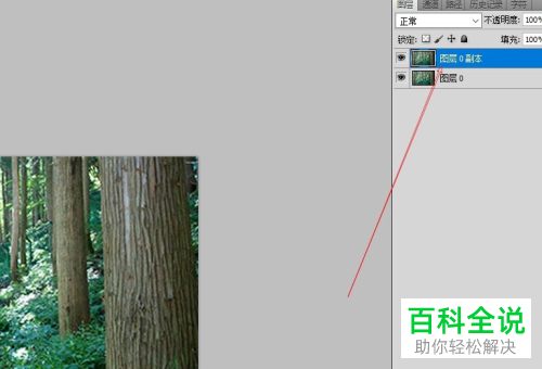 在PS软件中怎么调整图片的颜色