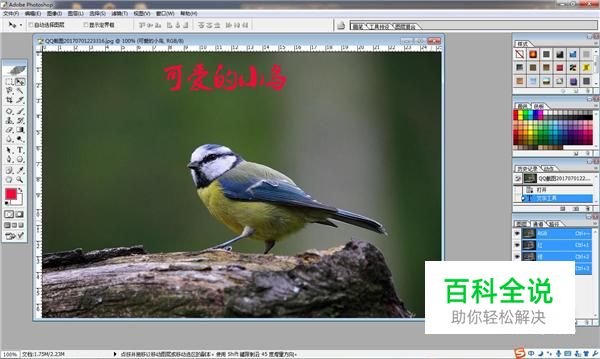 在ps中如何写字