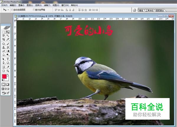 在ps中如何写字