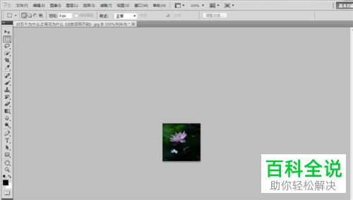 在PS软件怎么通过调节图片的分辨率来改变图片大小