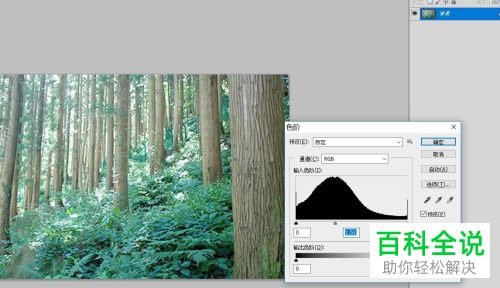 在PS软件中怎么调整图片的颜色