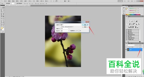 在PS软件中如何将图片放到桃心图案中？