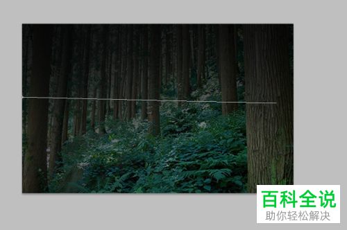 在PS软件中怎么调整图片的颜色