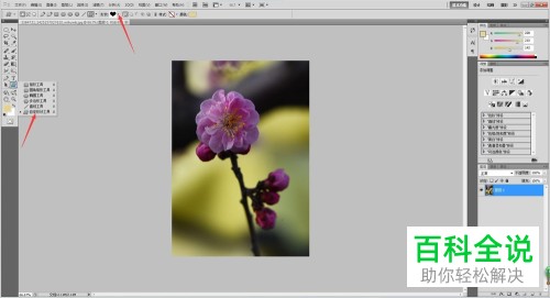 在PS软件中如何将图片放到桃心图案中？