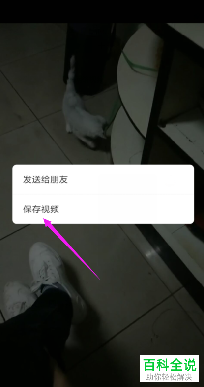 在朋友圈中如何上传收藏的视频与图片