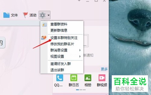 在QQ群中怎么设置特别关注的人？
