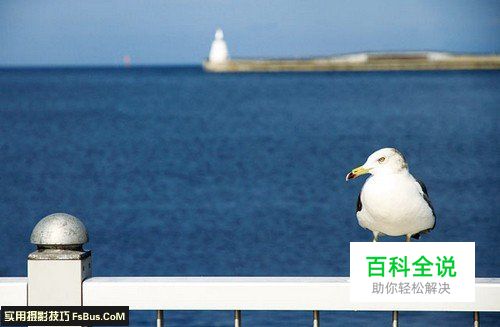 增强视觉冲击力的构图法则