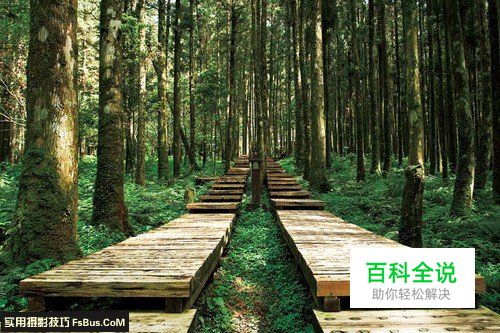 增强视觉冲击力的构图法则