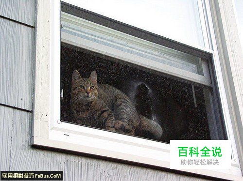 增强视觉冲击力的构图法则