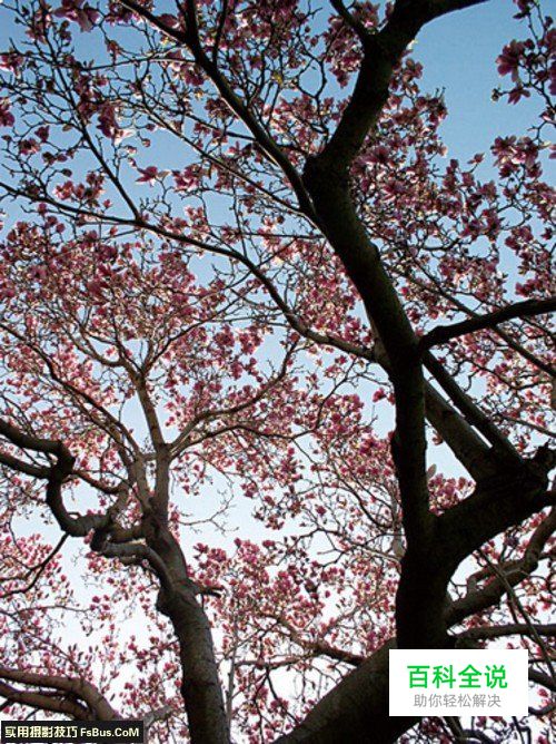 增强视觉冲击力的构图法则