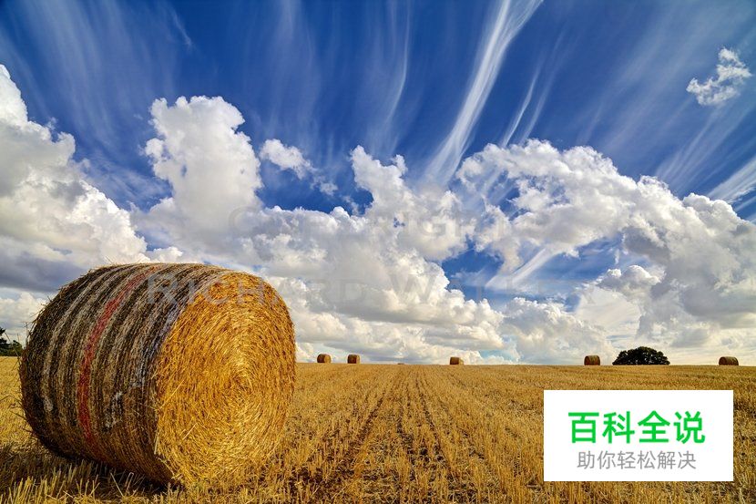 资深风景摄影师的10个建议