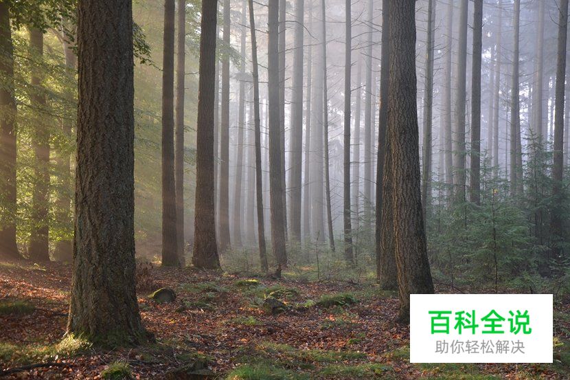 资深风景摄影师的10个建议