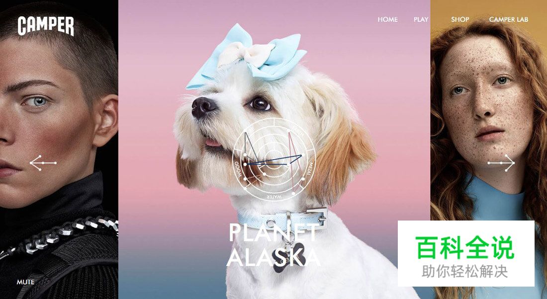 在设计中运用潘通年度代表色