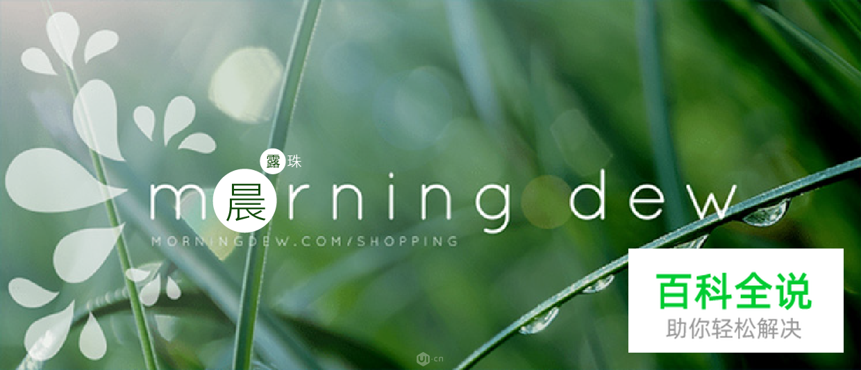 在设计作品中，如何创造性地应用比例？